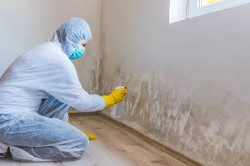 Why You Should Choose Our Mold Remediation Services in Tuolumne City, CA